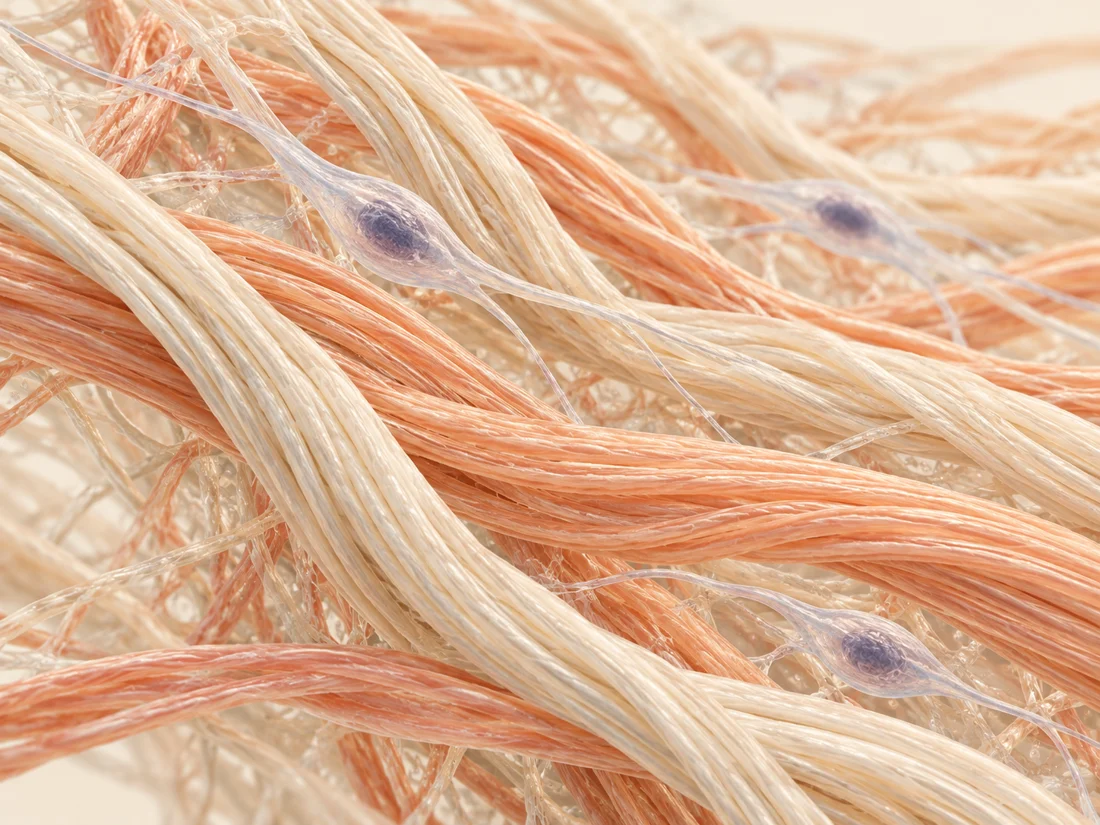Collagen and connective tissue